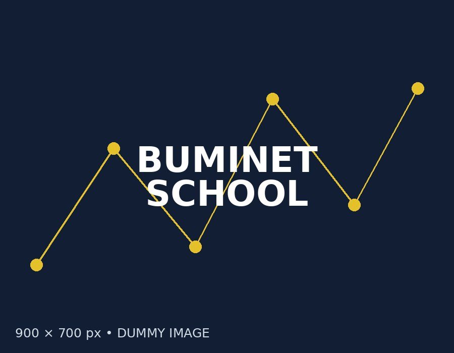 BUMINET School